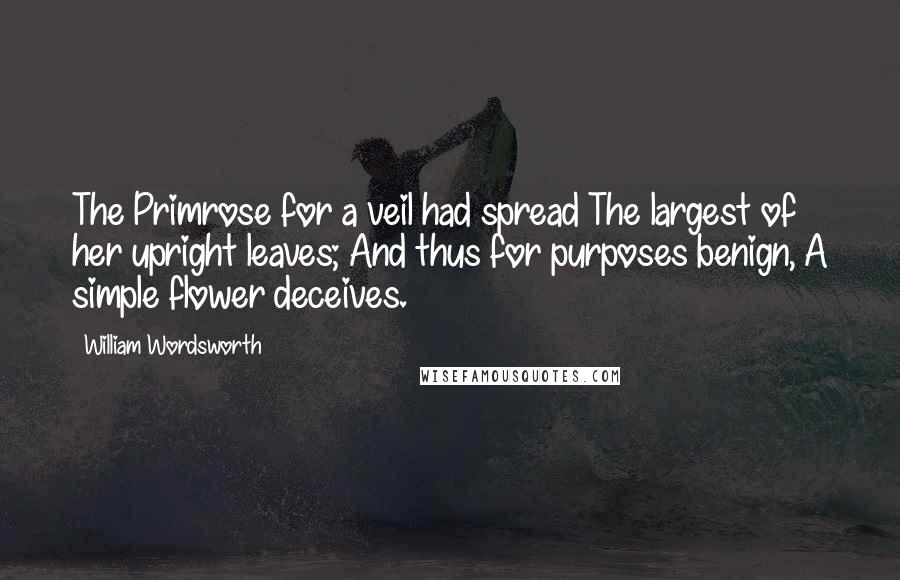 William Wordsworth Quotes: The Primrose for a veil had spread The largest of her upright leaves; And thus for purposes benign, A simple flower deceives.