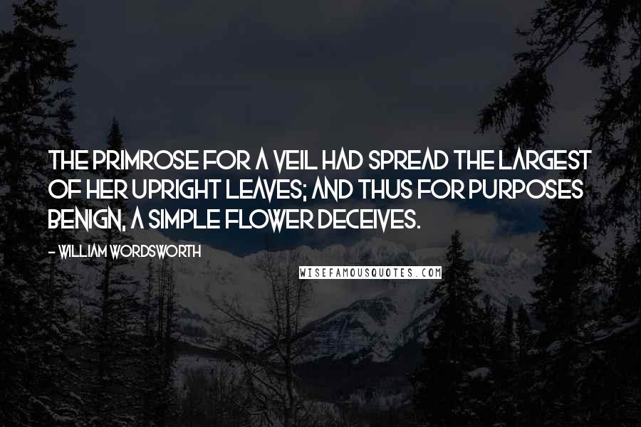 William Wordsworth Quotes: The Primrose for a veil had spread The largest of her upright leaves; And thus for purposes benign, A simple flower deceives.