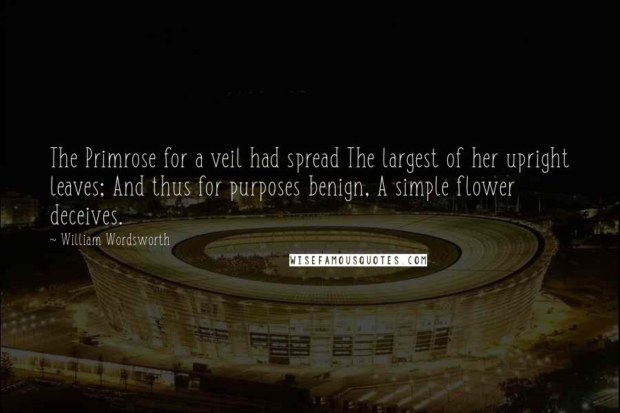 William Wordsworth Quotes: The Primrose for a veil had spread The largest of her upright leaves; And thus for purposes benign, A simple flower deceives.