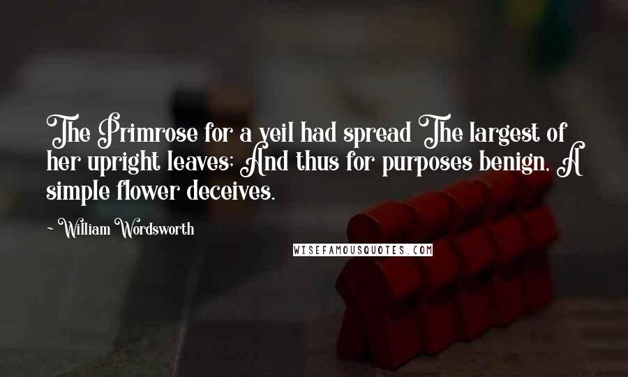 William Wordsworth Quotes: The Primrose for a veil had spread The largest of her upright leaves; And thus for purposes benign, A simple flower deceives.