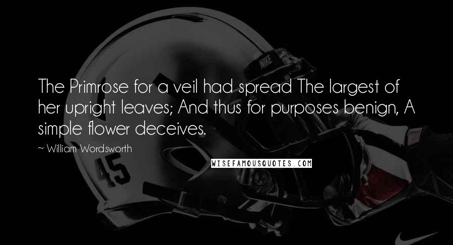 William Wordsworth Quotes: The Primrose for a veil had spread The largest of her upright leaves; And thus for purposes benign, A simple flower deceives.