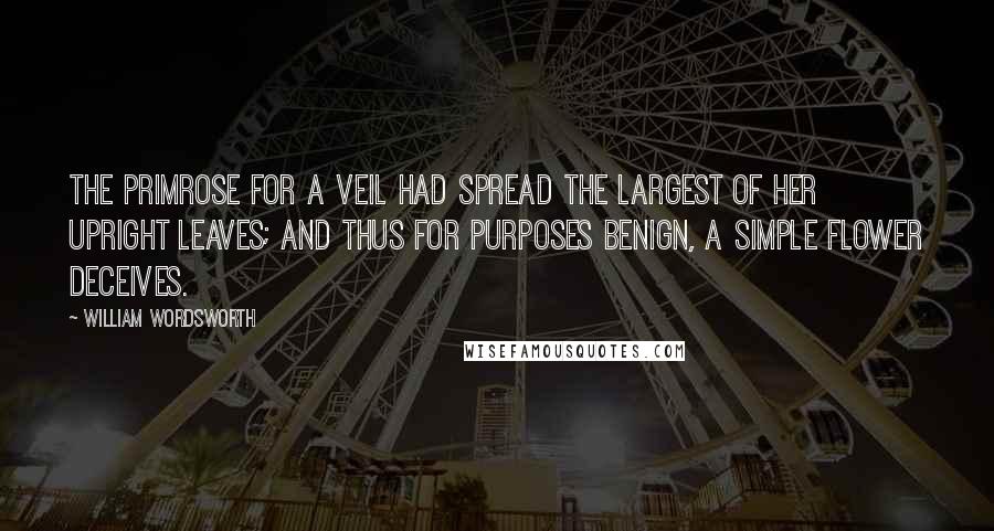 William Wordsworth Quotes: The Primrose for a veil had spread The largest of her upright leaves; And thus for purposes benign, A simple flower deceives.