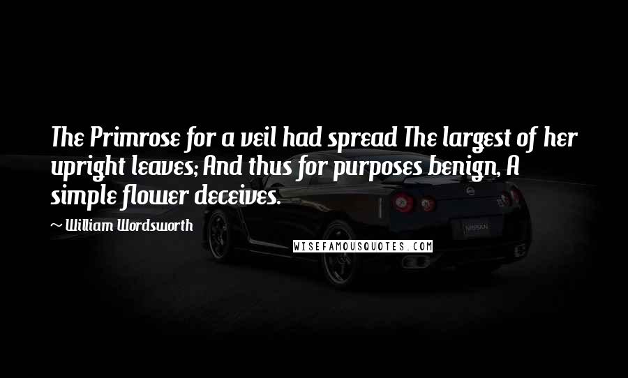 William Wordsworth Quotes: The Primrose for a veil had spread The largest of her upright leaves; And thus for purposes benign, A simple flower deceives.