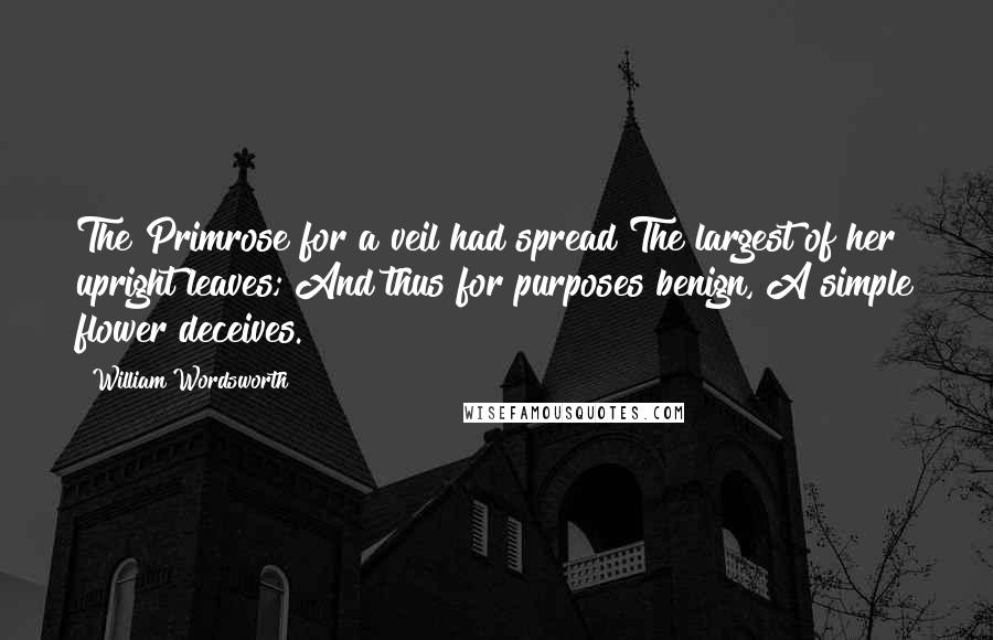 William Wordsworth Quotes: The Primrose for a veil had spread The largest of her upright leaves; And thus for purposes benign, A simple flower deceives.