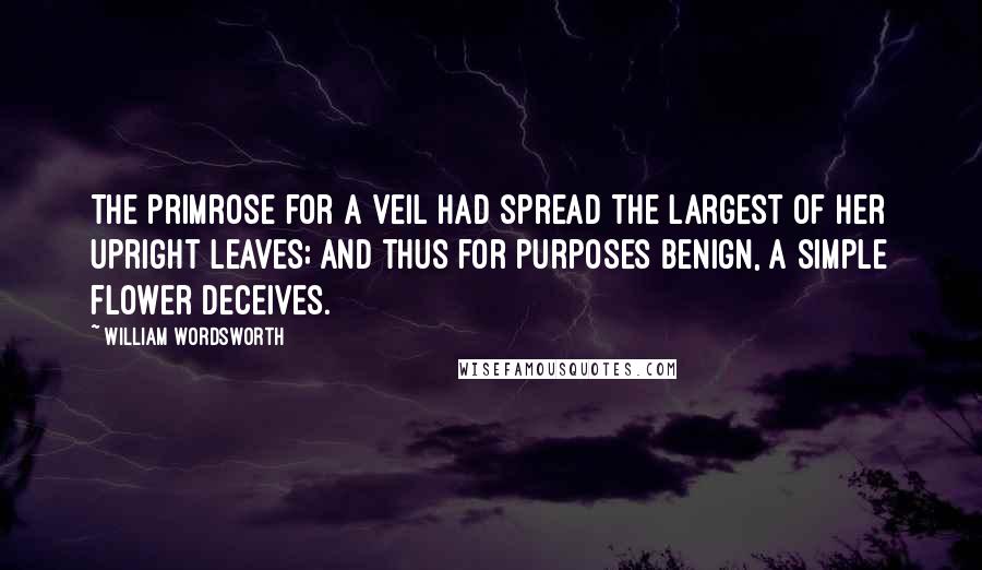 William Wordsworth Quotes: The Primrose for a veil had spread The largest of her upright leaves; And thus for purposes benign, A simple flower deceives.