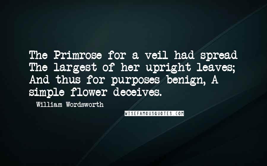 William Wordsworth Quotes: The Primrose for a veil had spread The largest of her upright leaves; And thus for purposes benign, A simple flower deceives.