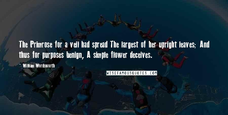 William Wordsworth Quotes: The Primrose for a veil had spread The largest of her upright leaves; And thus for purposes benign, A simple flower deceives.