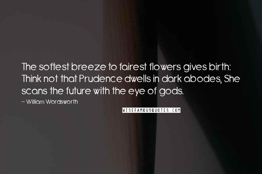 William Wordsworth Quotes: The softest breeze to fairest flowers gives birth: Think not that Prudence dwells in dark abodes, She scans the future with the eye of gods.