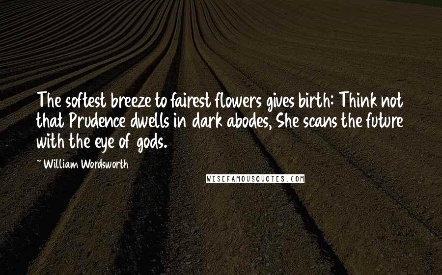 William Wordsworth Quotes: The softest breeze to fairest flowers gives birth: Think not that Prudence dwells in dark abodes, She scans the future with the eye of gods.