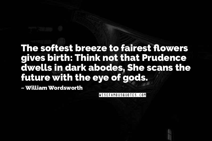 William Wordsworth Quotes: The softest breeze to fairest flowers gives birth: Think not that Prudence dwells in dark abodes, She scans the future with the eye of gods.