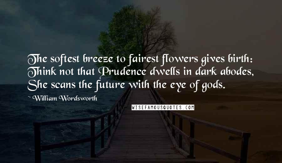 William Wordsworth Quotes: The softest breeze to fairest flowers gives birth: Think not that Prudence dwells in dark abodes, She scans the future with the eye of gods.