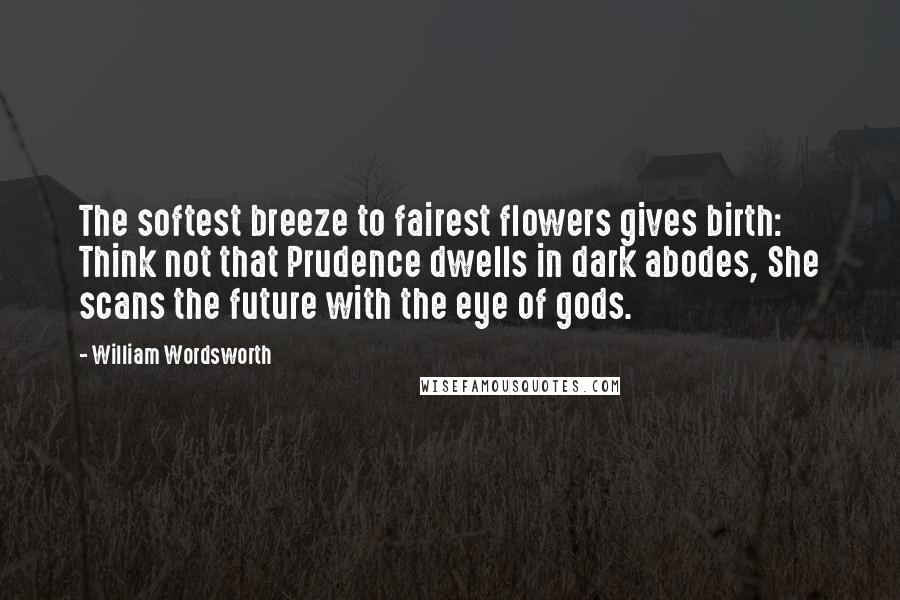 William Wordsworth Quotes: The softest breeze to fairest flowers gives birth: Think not that Prudence dwells in dark abodes, She scans the future with the eye of gods.