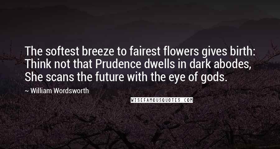William Wordsworth Quotes: The softest breeze to fairest flowers gives birth: Think not that Prudence dwells in dark abodes, She scans the future with the eye of gods.