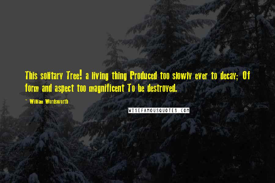William Wordsworth Quotes: This solitary Tree! a living thing Produced too slowly ever to decay; Of form and aspect too magnificent To be destroyed.