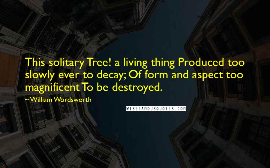 William Wordsworth Quotes: This solitary Tree! a living thing Produced too slowly ever to decay; Of form and aspect too magnificent To be destroyed.