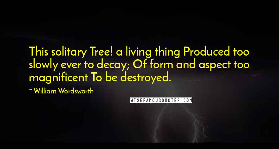 William Wordsworth Quotes: This solitary Tree! a living thing Produced too slowly ever to decay; Of form and aspect too magnificent To be destroyed.