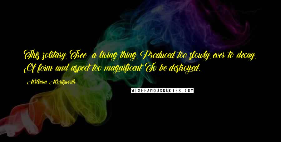 William Wordsworth Quotes: This solitary Tree! a living thing Produced too slowly ever to decay; Of form and aspect too magnificent To be destroyed.