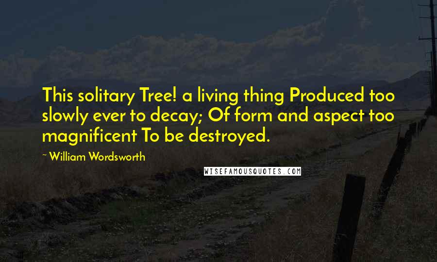 William Wordsworth Quotes: This solitary Tree! a living thing Produced too slowly ever to decay; Of form and aspect too magnificent To be destroyed.