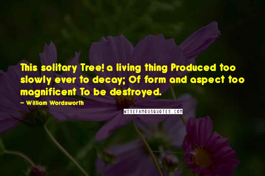 William Wordsworth Quotes: This solitary Tree! a living thing Produced too slowly ever to decay; Of form and aspect too magnificent To be destroyed.