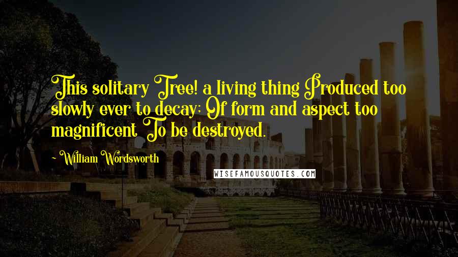 William Wordsworth Quotes: This solitary Tree! a living thing Produced too slowly ever to decay; Of form and aspect too magnificent To be destroyed.