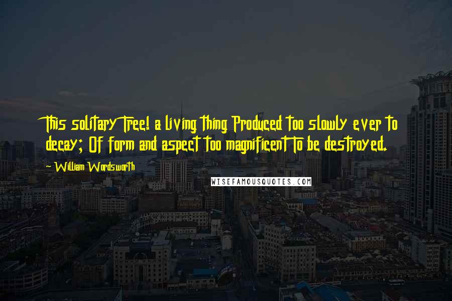 William Wordsworth Quotes: This solitary Tree! a living thing Produced too slowly ever to decay; Of form and aspect too magnificent To be destroyed.