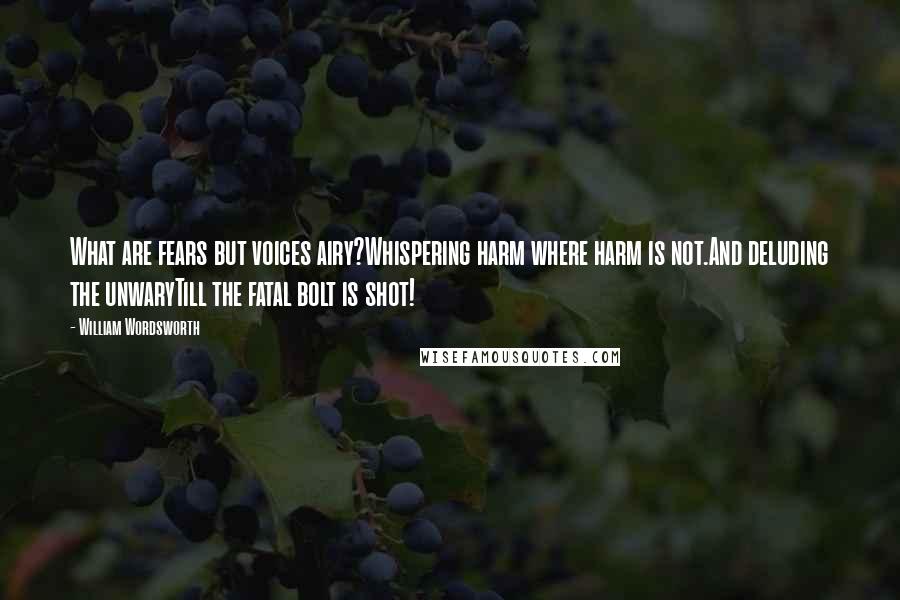 William Wordsworth Quotes: What are fears but voices airy?Whispering harm where harm is not.And deluding the unwaryTill the fatal bolt is shot!