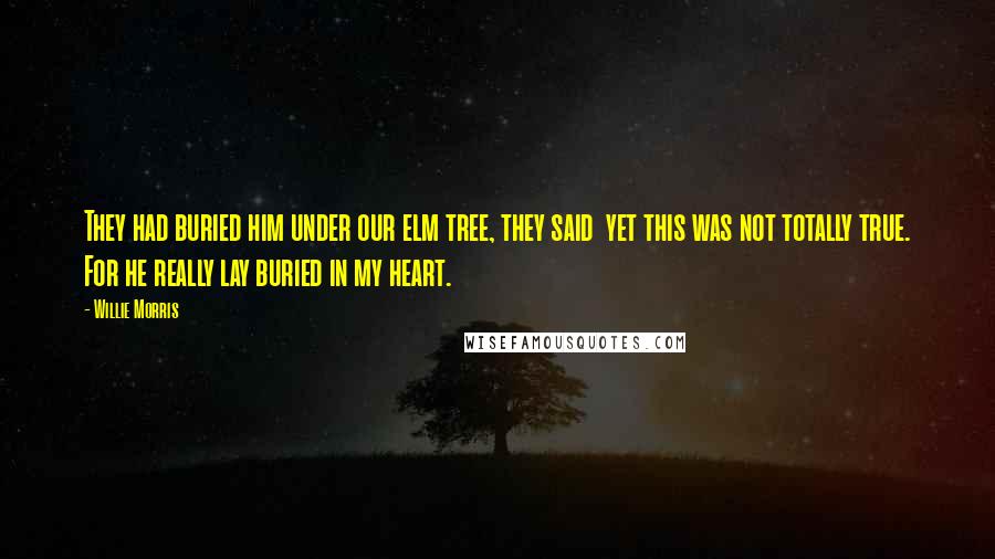 Willie Morris Quotes: They had buried him under our elm tree, they said  yet this was not totally true. For he really lay buried in my heart.