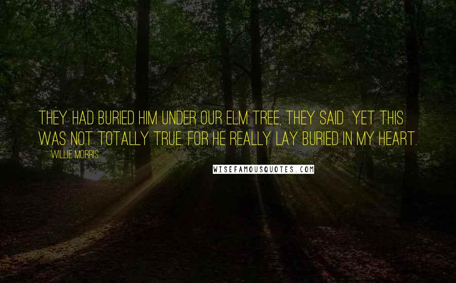 Willie Morris Quotes: They had buried him under our elm tree, they said  yet this was not totally true. For he really lay buried in my heart.