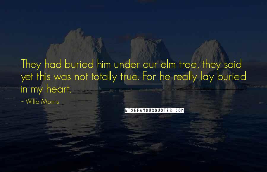 Willie Morris Quotes: They had buried him under our elm tree, they said  yet this was not totally true. For he really lay buried in my heart.