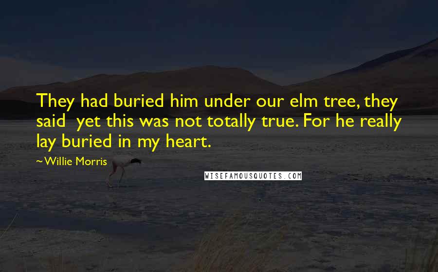 Willie Morris Quotes: They had buried him under our elm tree, they said  yet this was not totally true. For he really lay buried in my heart.