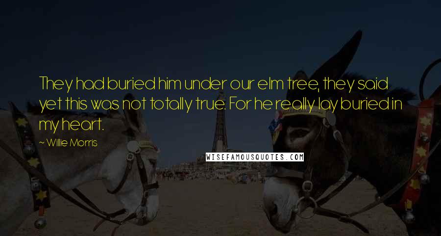 Willie Morris Quotes: They had buried him under our elm tree, they said  yet this was not totally true. For he really lay buried in my heart.