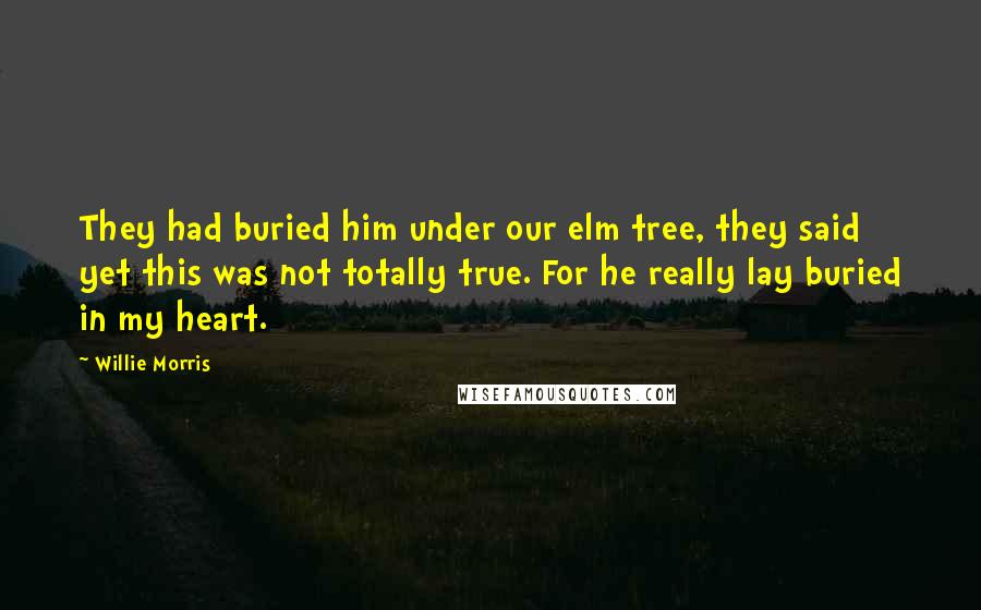 Willie Morris Quotes: They had buried him under our elm tree, they said yet this was not totally true. For he really lay buried in my heart.