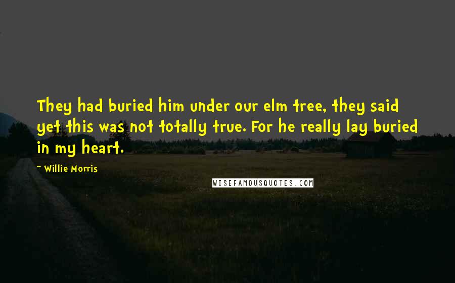 Willie Morris Quotes: They had buried him under our elm tree, they said  yet this was not totally true. For he really lay buried in my heart.