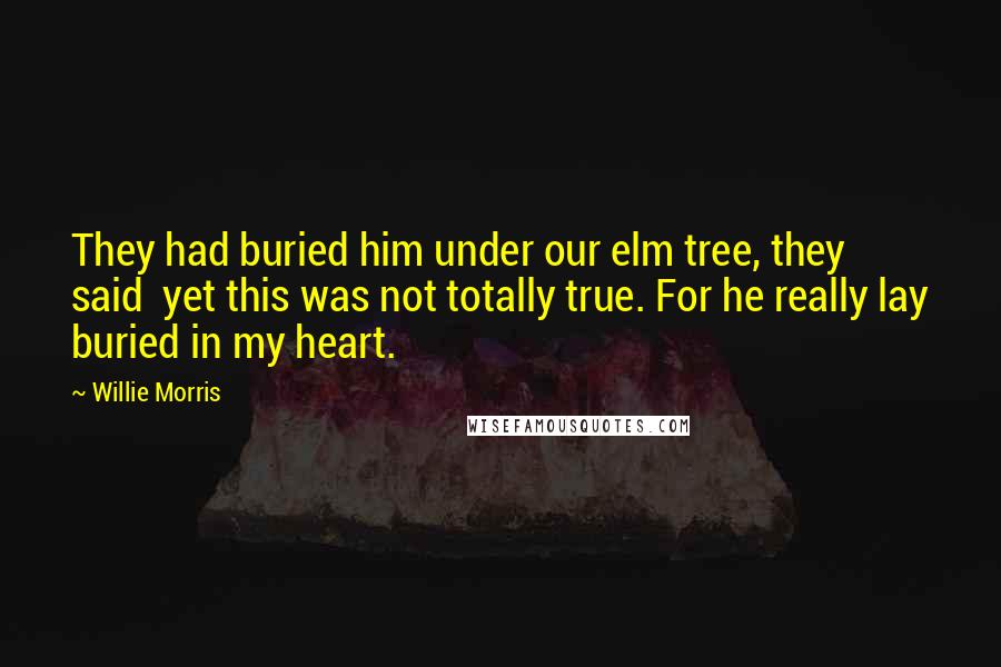 Willie Morris Quotes: They had buried him under our elm tree, they said yet this was not totally true. For he really lay buried in my heart.