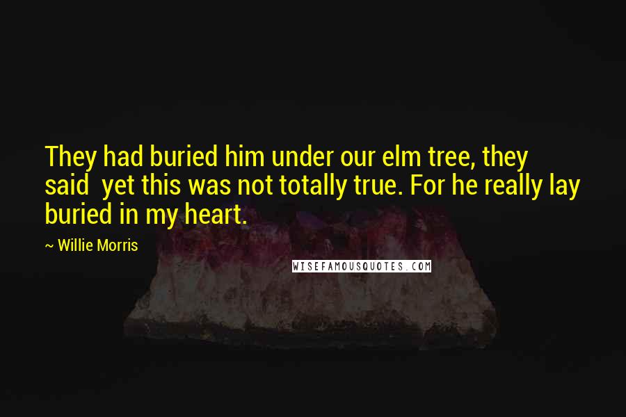 Willie Morris Quotes: They had buried him under our elm tree, they said  yet this was not totally true. For he really lay buried in my heart.