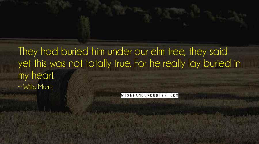 Willie Morris Quotes: They had buried him under our elm tree, they said  yet this was not totally true. For he really lay buried in my heart.