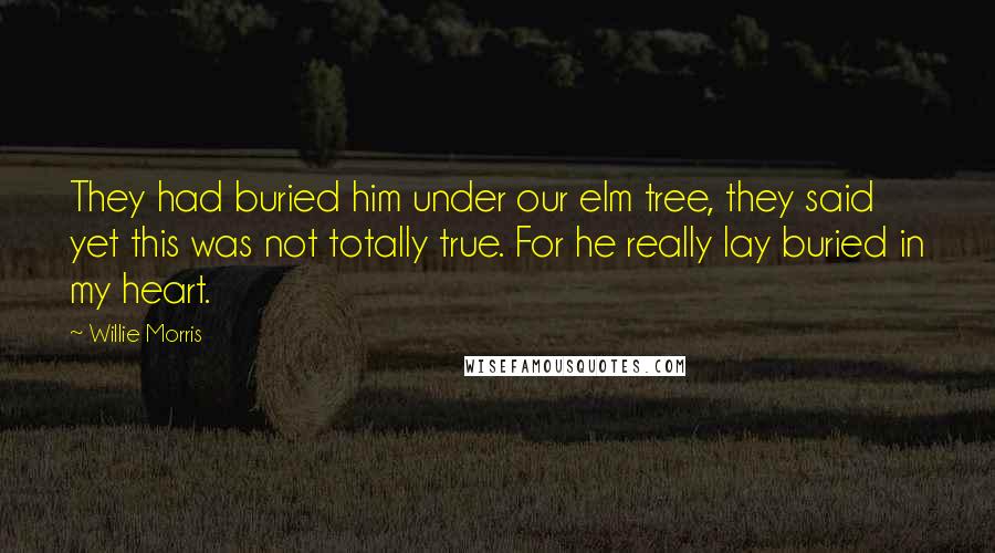 Willie Morris Quotes: They had buried him under our elm tree, they said yet this was not totally true. For he really lay buried in my heart.