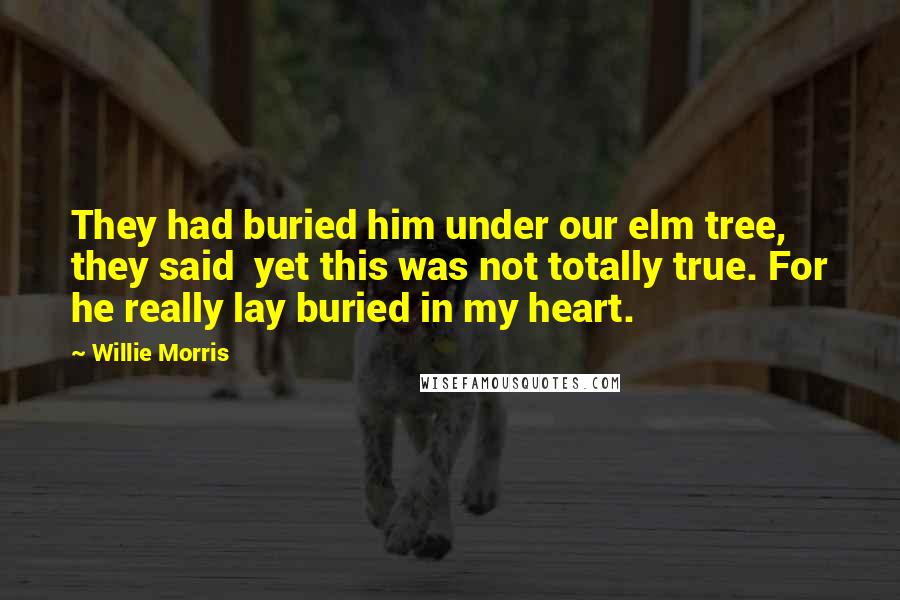 Willie Morris Quotes: They had buried him under our elm tree, they said  yet this was not totally true. For he really lay buried in my heart.