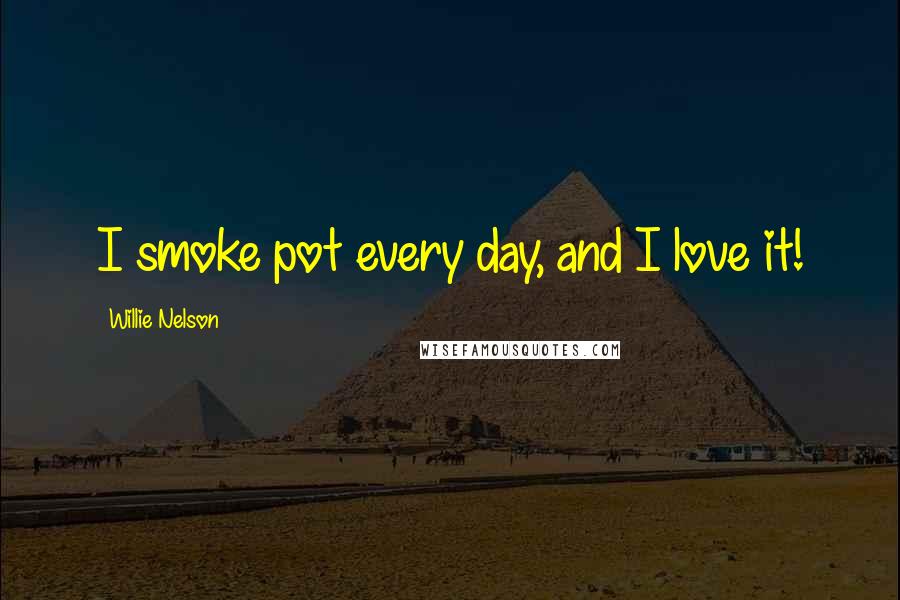 Willie Nelson Quotes: I smoke pot every day, and I love it!