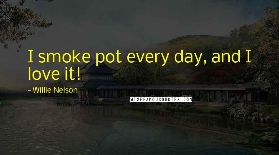Willie Nelson Quotes: I smoke pot every day, and I love it!