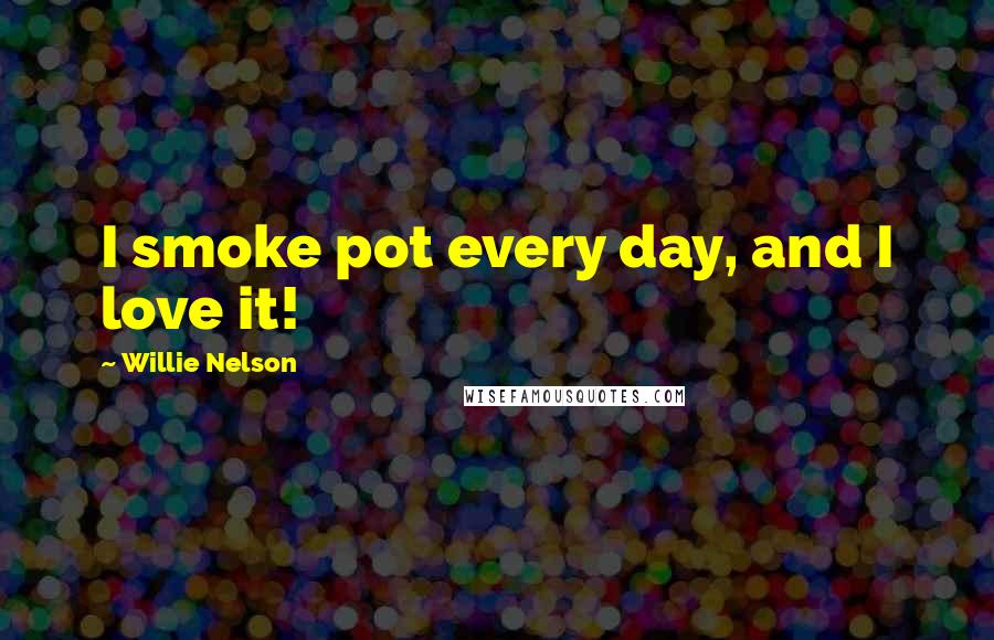 Willie Nelson Quotes: I smoke pot every day, and I love it!