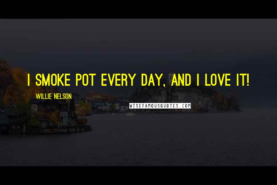 Willie Nelson Quotes: I smoke pot every day, and I love it!