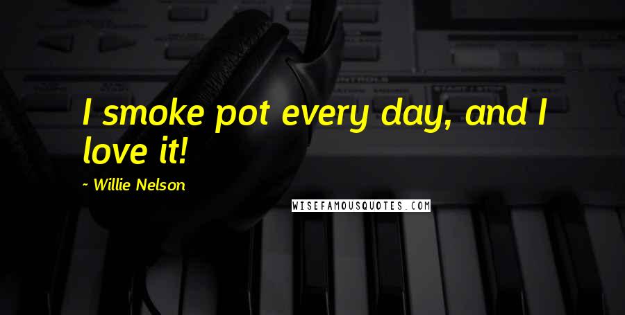 Willie Nelson Quotes: I smoke pot every day, and I love it!