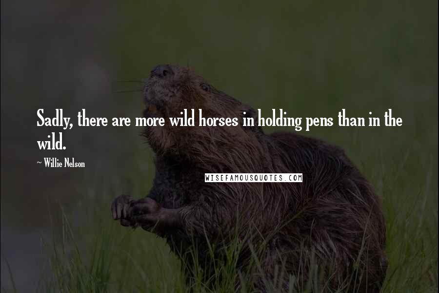 Willie Nelson Quotes: Sadly, there are more wild horses in holding pens than in the wild.