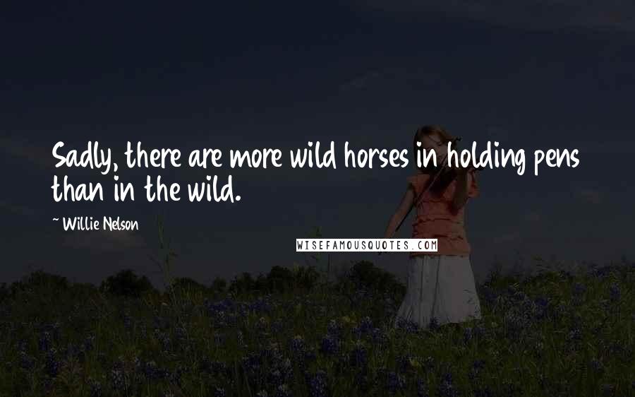 Willie Nelson Quotes: Sadly, there are more wild horses in holding pens than in the wild.