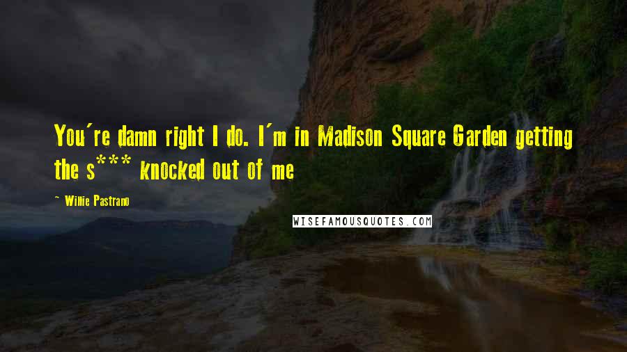 Willie Pastrano Quotes: You're damn right I do. I'm in Madison Square Garden getting the s*** knocked out of me