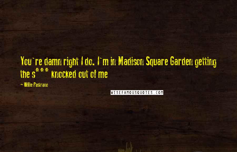 Willie Pastrano Quotes: You're damn right I do. I'm in Madison Square Garden getting the s*** knocked out of me