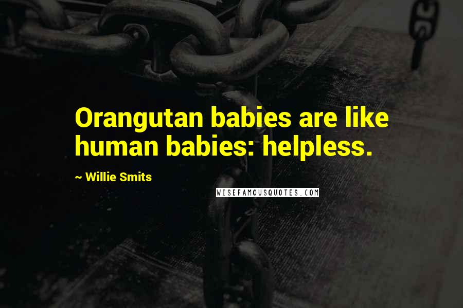 Willie Smits Quotes: Orangutan babies are like human babies: helpless.