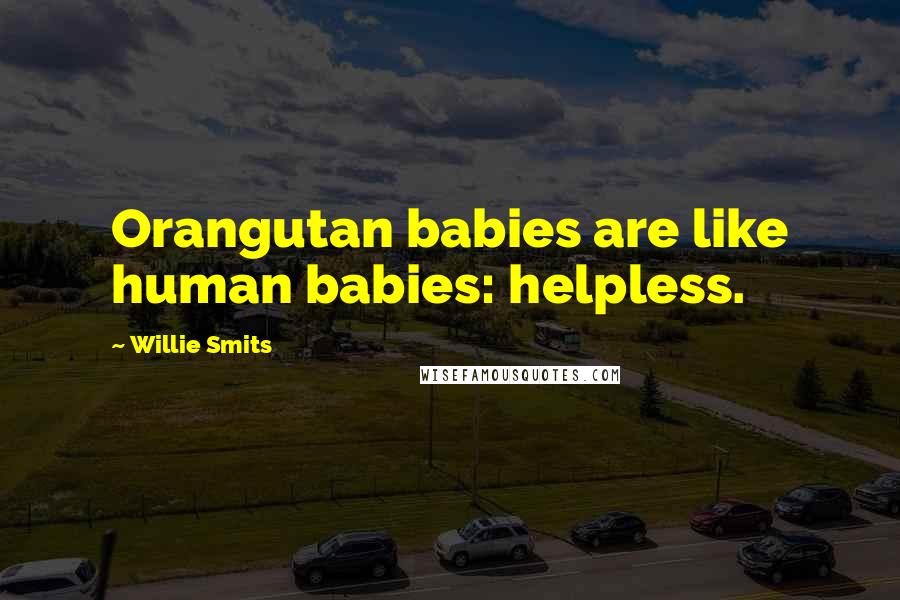 Willie Smits Quotes: Orangutan babies are like human babies: helpless.