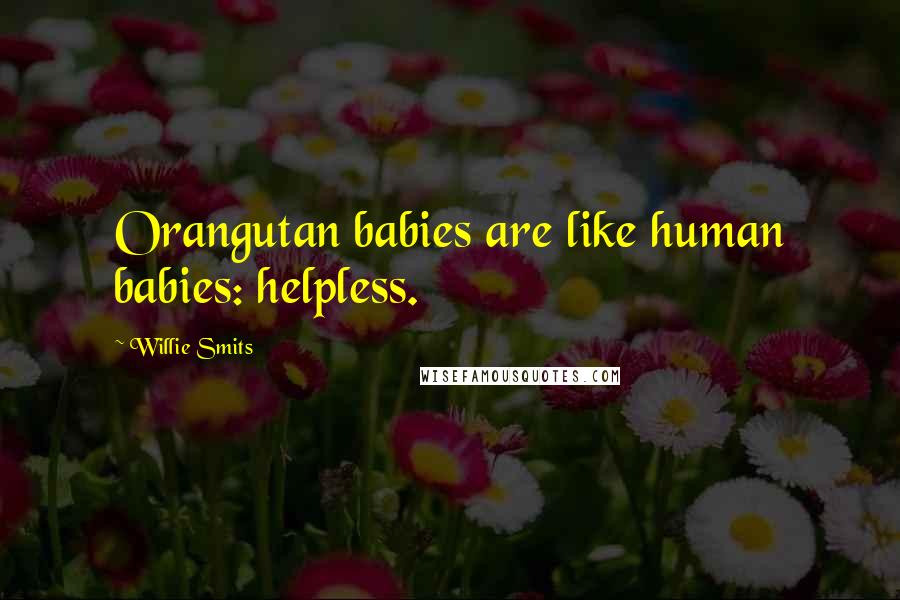 Willie Smits Quotes: Orangutan babies are like human babies: helpless.